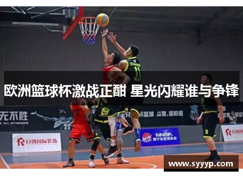 欧洲篮球杯激战正酣 星光闪耀谁与争锋