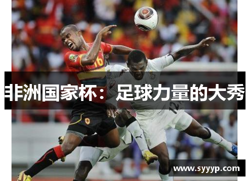 非洲国家杯:足球力量的大秀 非洲国家杯:足球力量的大秀